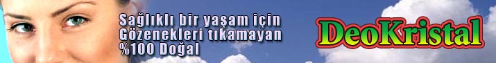 Site logo